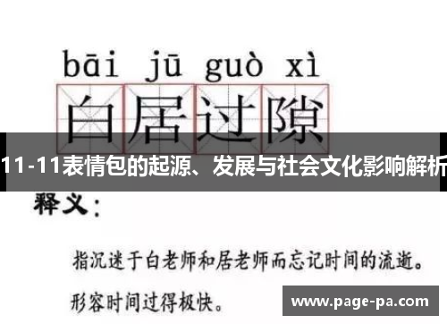 11-11表情包的起源、发展与社会文化影响解析