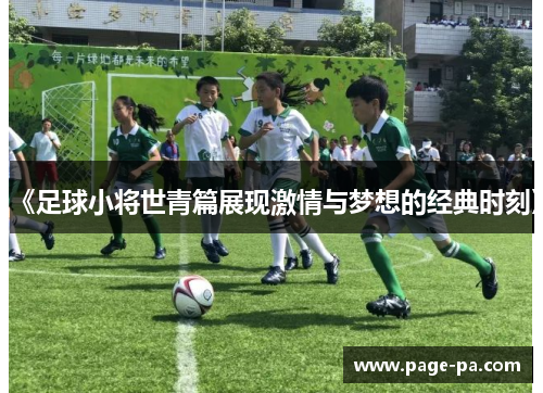 《足球小将世青篇展现激情与梦想的经典时刻》