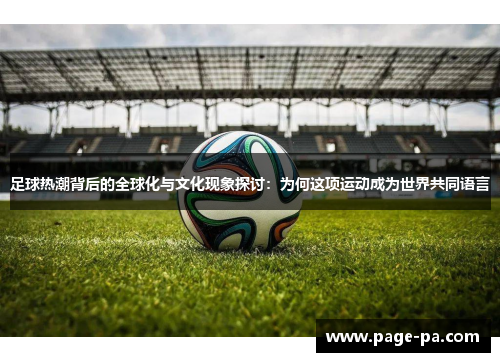 足球热潮背后的全球化与文化现象探讨：为何这项运动成为世界共同语言