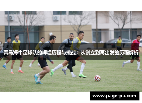青岛海牛足球队的辉煌历程与挑战：从创立到再出发的历程解析