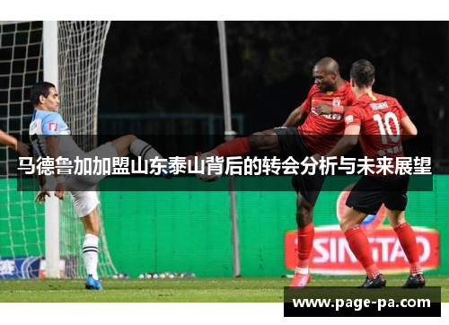 马德鲁加加盟山东泰山背后的转会分析与未来展望
