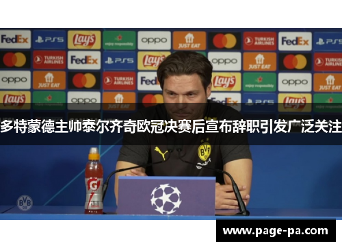多特蒙德主帅泰尔齐奇欧冠决赛后宣布辞职引发广泛关注