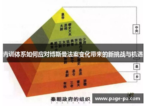 青训体系如何应对博斯曼法案变化带来的新挑战与机遇