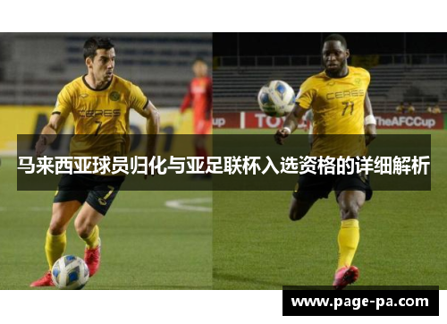 马来西亚球员归化与亚足联杯入选资格的详细解析