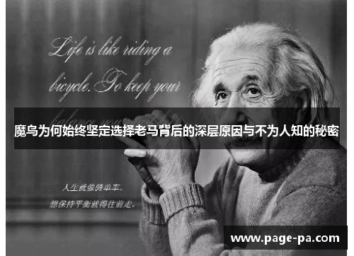 魔鸟为何始终坚定选择老马背后的深层原因与不为人知的秘密