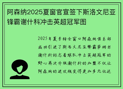 阿森纳2025夏窗官宣签下斯洛文尼亚锋霸谢什科冲击英超冠军图