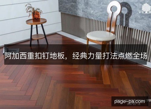 阿加西重扣钉地板，经典力量打法点燃全场